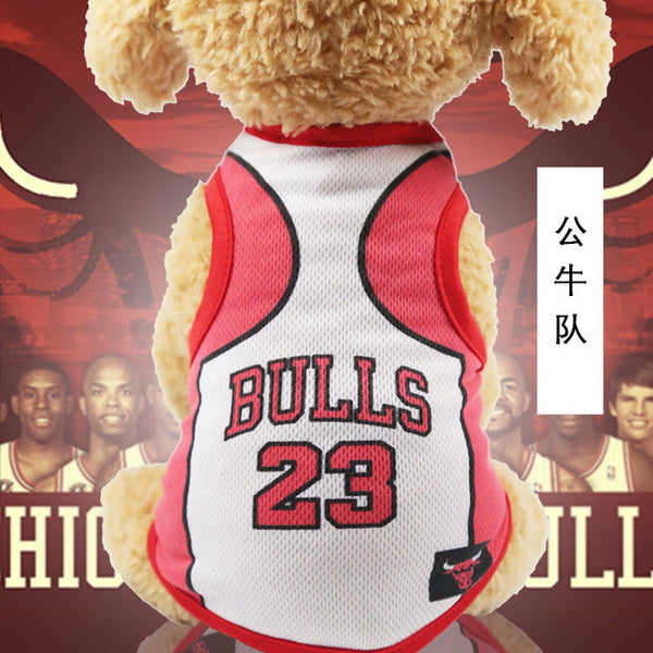 23-bulls